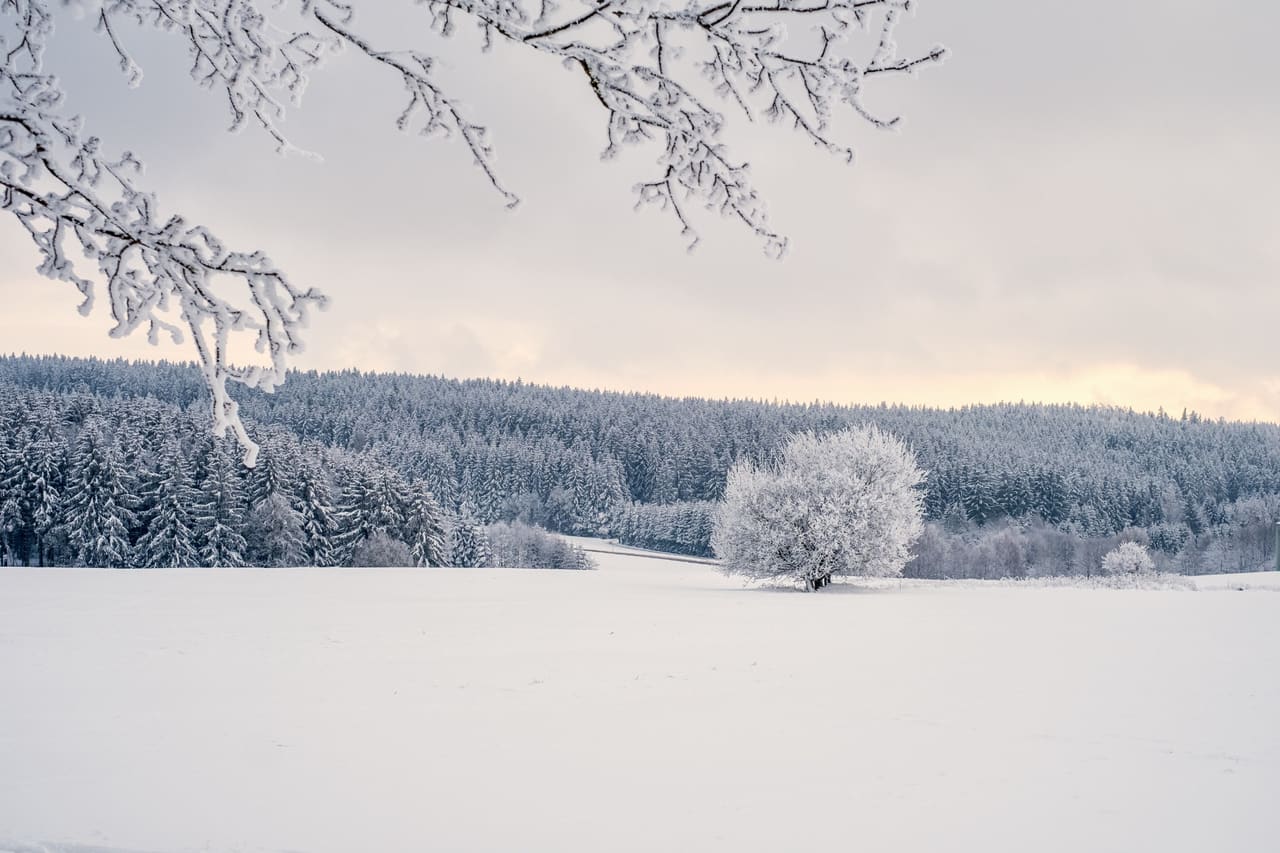 Nagano in winter
